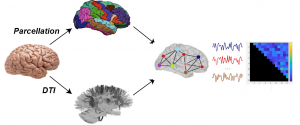 Synthesis of a computational brain model and extraction of functional connectivity patterns
