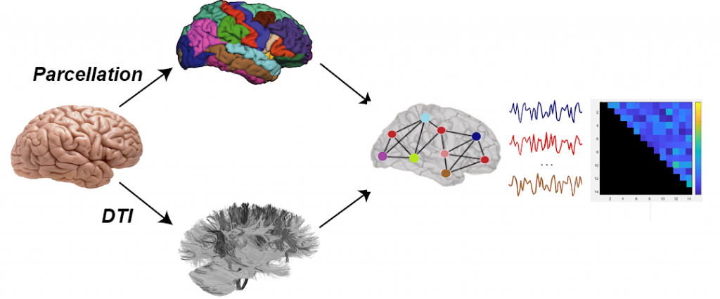 Computational Neuroscience | C3N